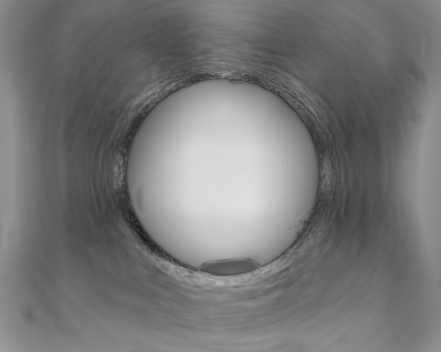 X0000110680043200906121044