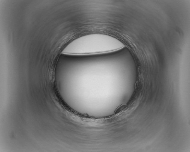 X0000110680044200906121044