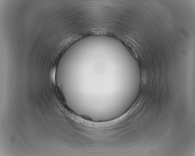 X0000110680047200906121044