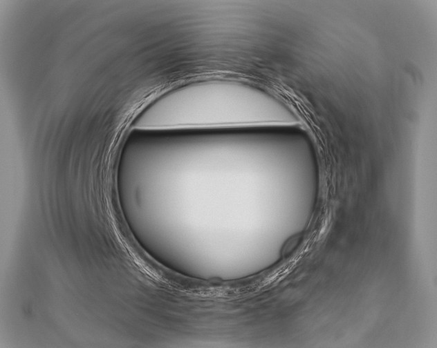 X0000110680049200906121043