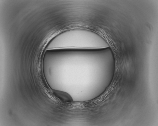 X0000110680050200906121043