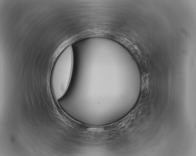 X0000110680051200906121043