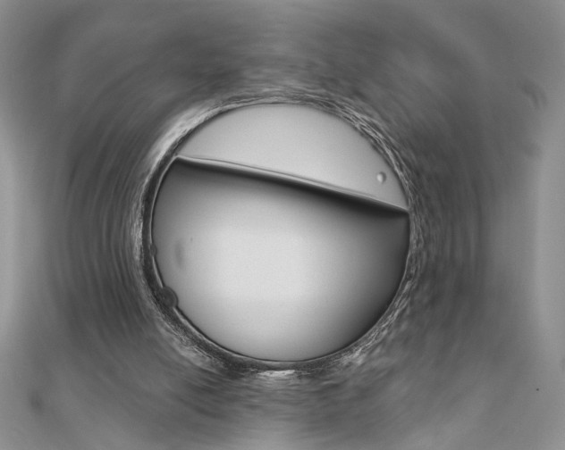 X0000110680054200906121043