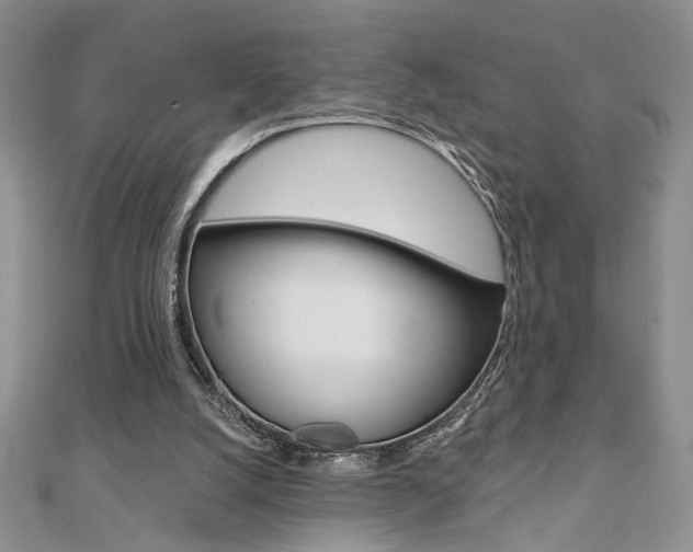 X0000110680056200906121043