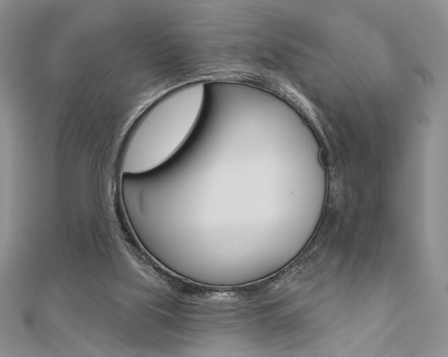 X0000110680059200906121043