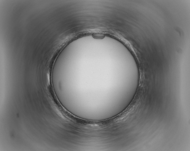 X0000110680061200906121043