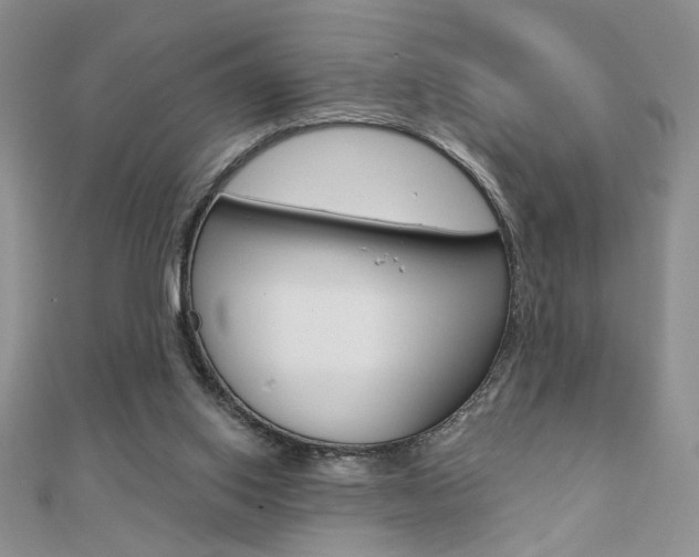 X0000110680062200906121043
