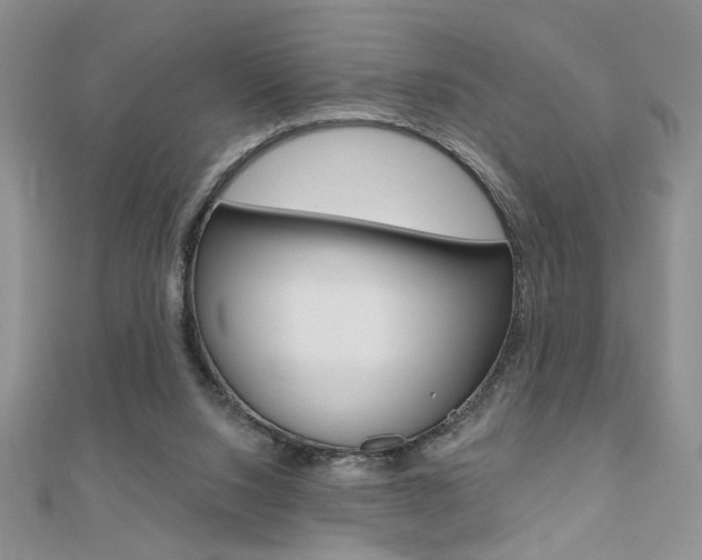 X0000110680064200906121043