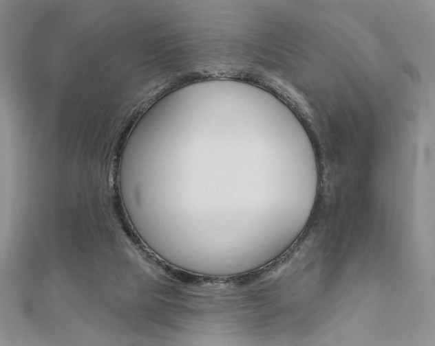 X0000110680065200906121043