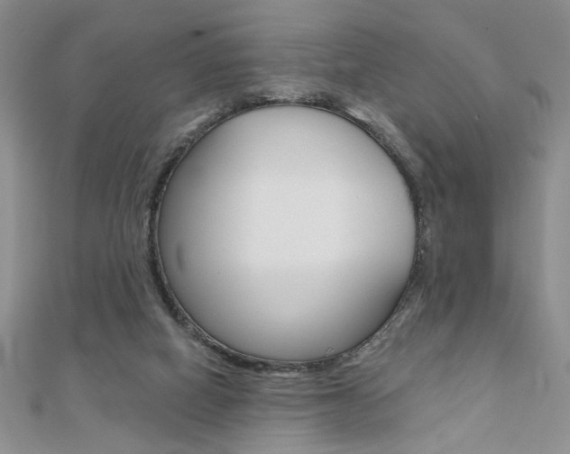 X0000110680066200906121043