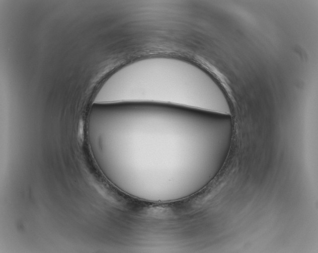 X0000110680067200906121043