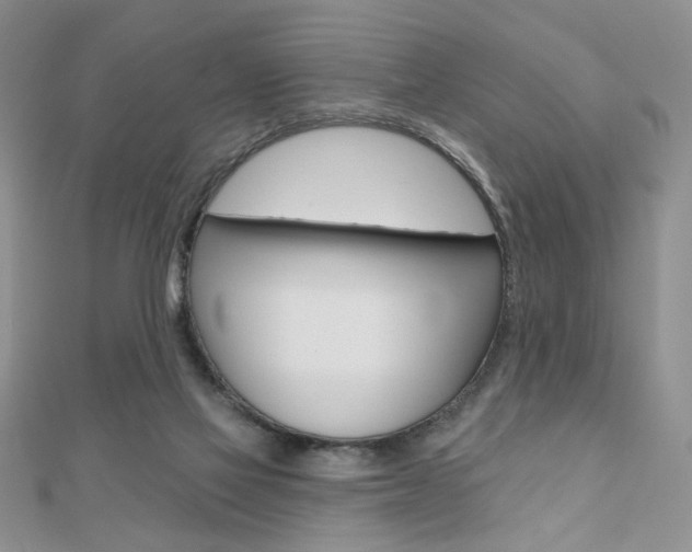 X0000110680069200906121043