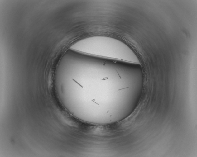 X0000110680074200906121043