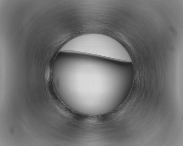 X0000110680076200906121043