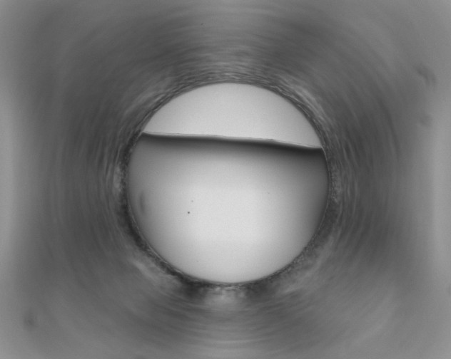 X0000110680077200906121044