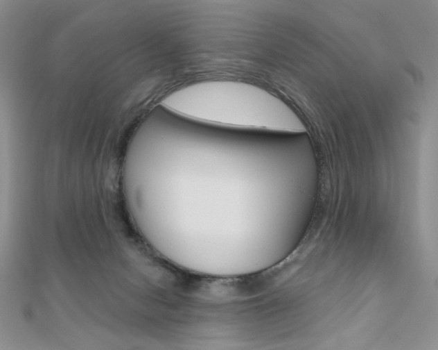 X0000110680078200906121044