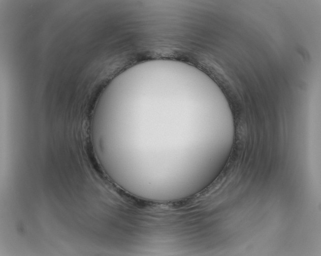 X0000110680079200906121044