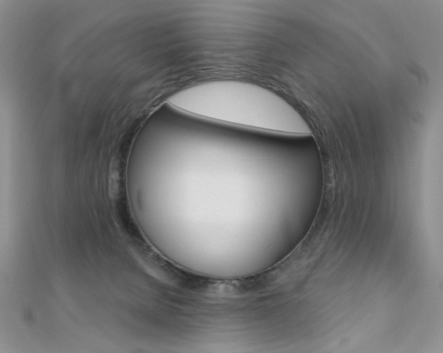 X0000110680080200906121044