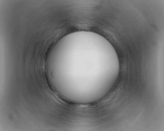 X0000110680081200906121044