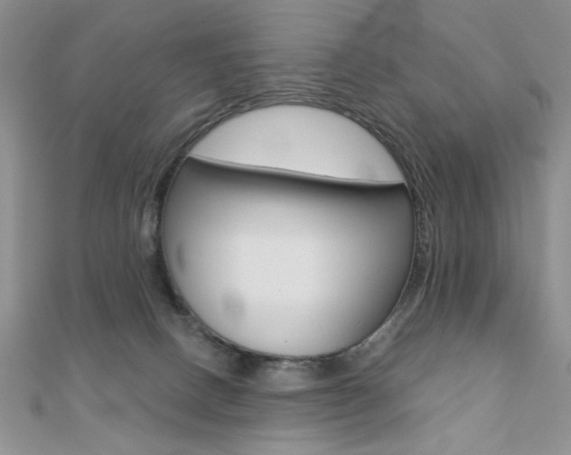 X0000110680082200906121044