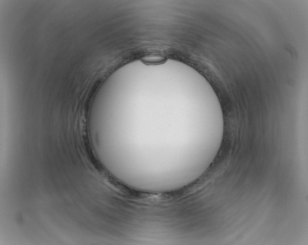 X0000110680083200906121044
