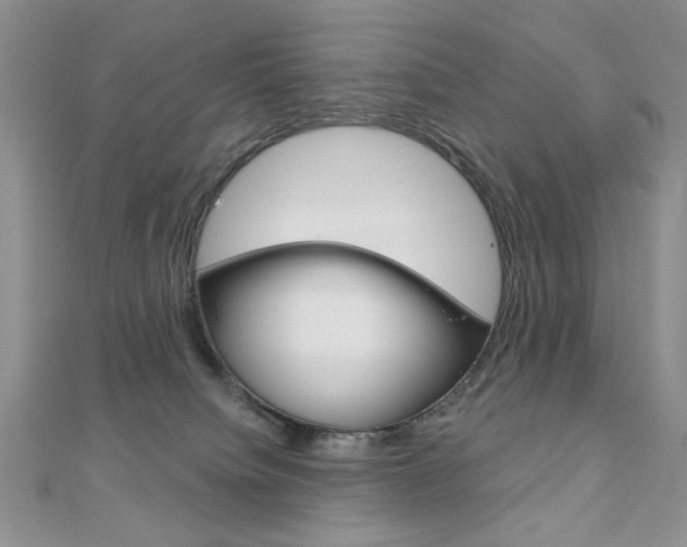 X0000110680084200906121044