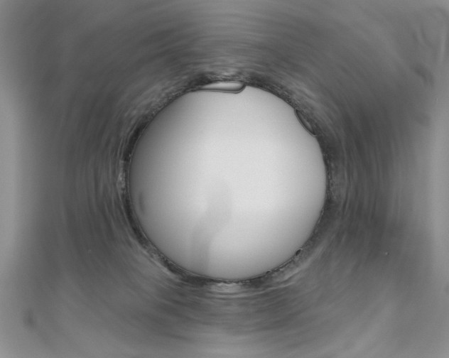 X0000110680085200906121044