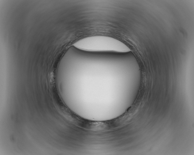 X0000110680087200906121044