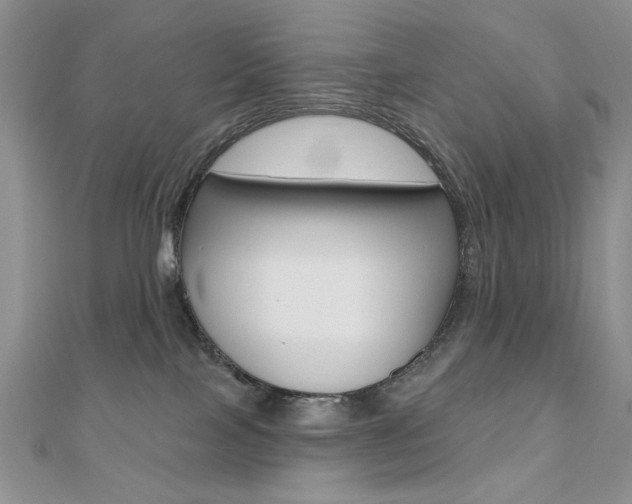 X0000110680089200906121044