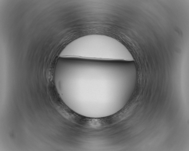 X0000110680091200906121044