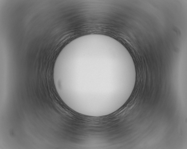 X0000110680092200906121044