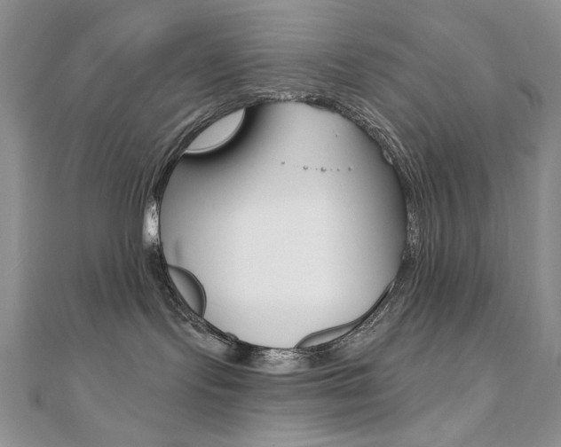 X0000110680095200906121044