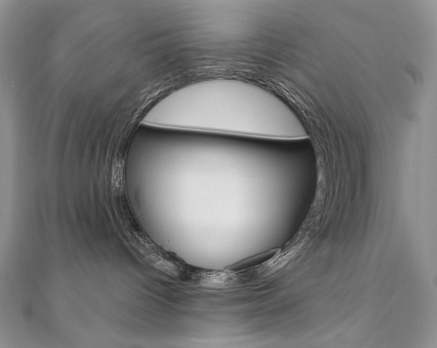 X0000110680096200906121044