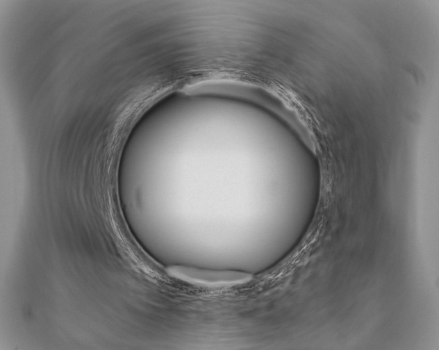X0000110680097200906121043