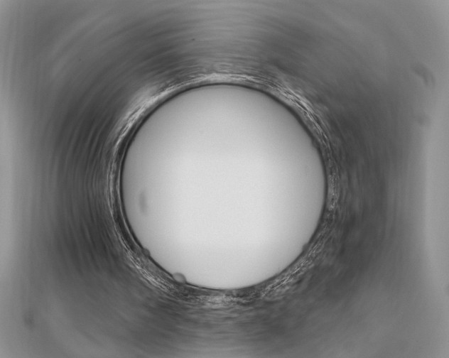 X0000110680098200906121043