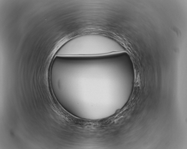 X0000110680099200906121043