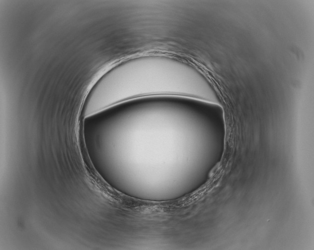 X0000110680100200906121043