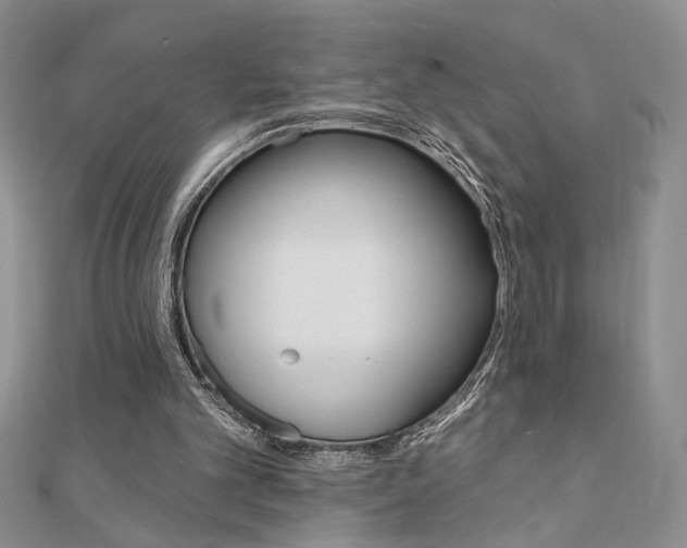 X0000110680101200906121043