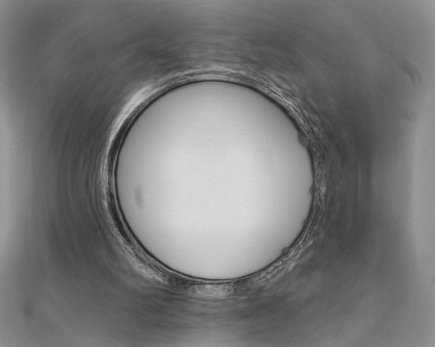 X0000110680102200906121043