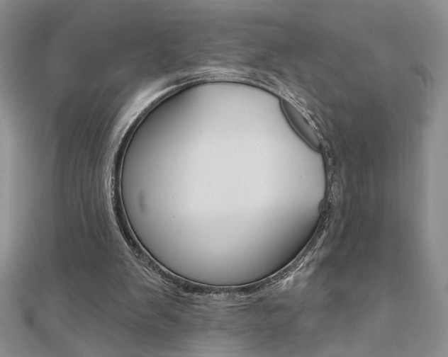 X0000110680103200906121043