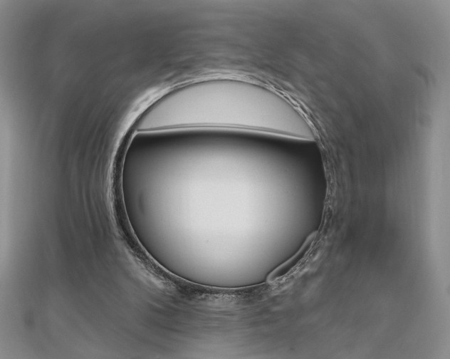X0000110680104200906121043