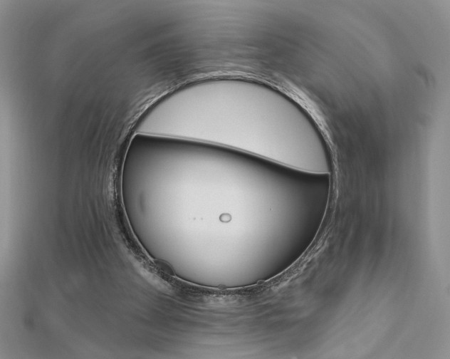 X0000110680105200906121043