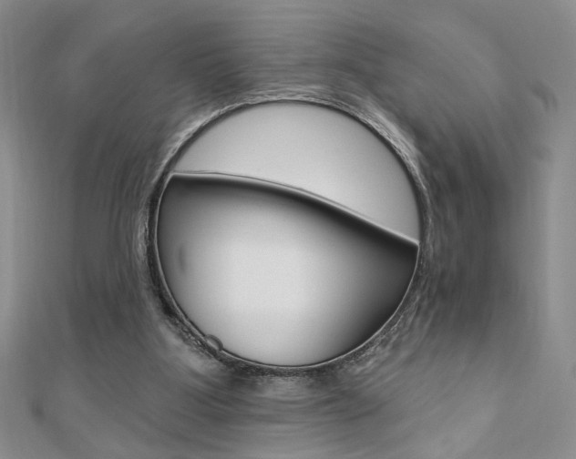 X0000110680107200906121043