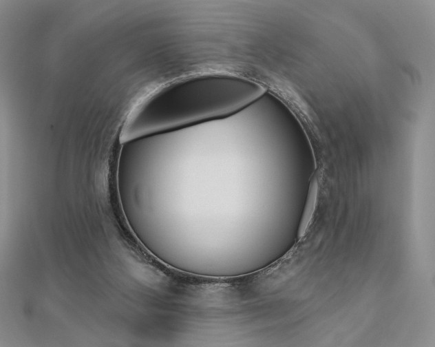 X0000110680108200906121043