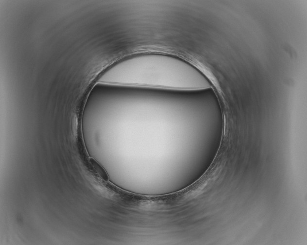 X0000110680109200906121043