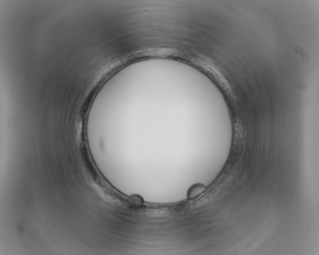 X0000110680110200906121043