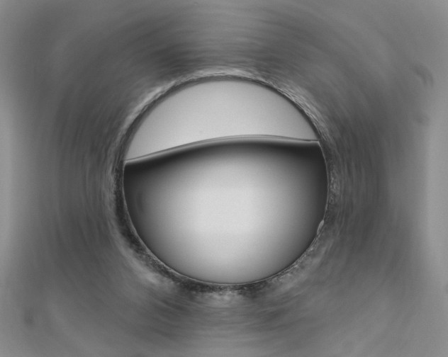 X0000110680112200906121043
