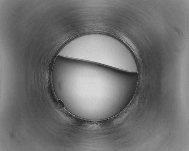 X0000110680113200906121043