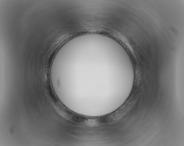 X0000110680114200906121043