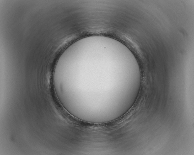 X0000110680115200906121043